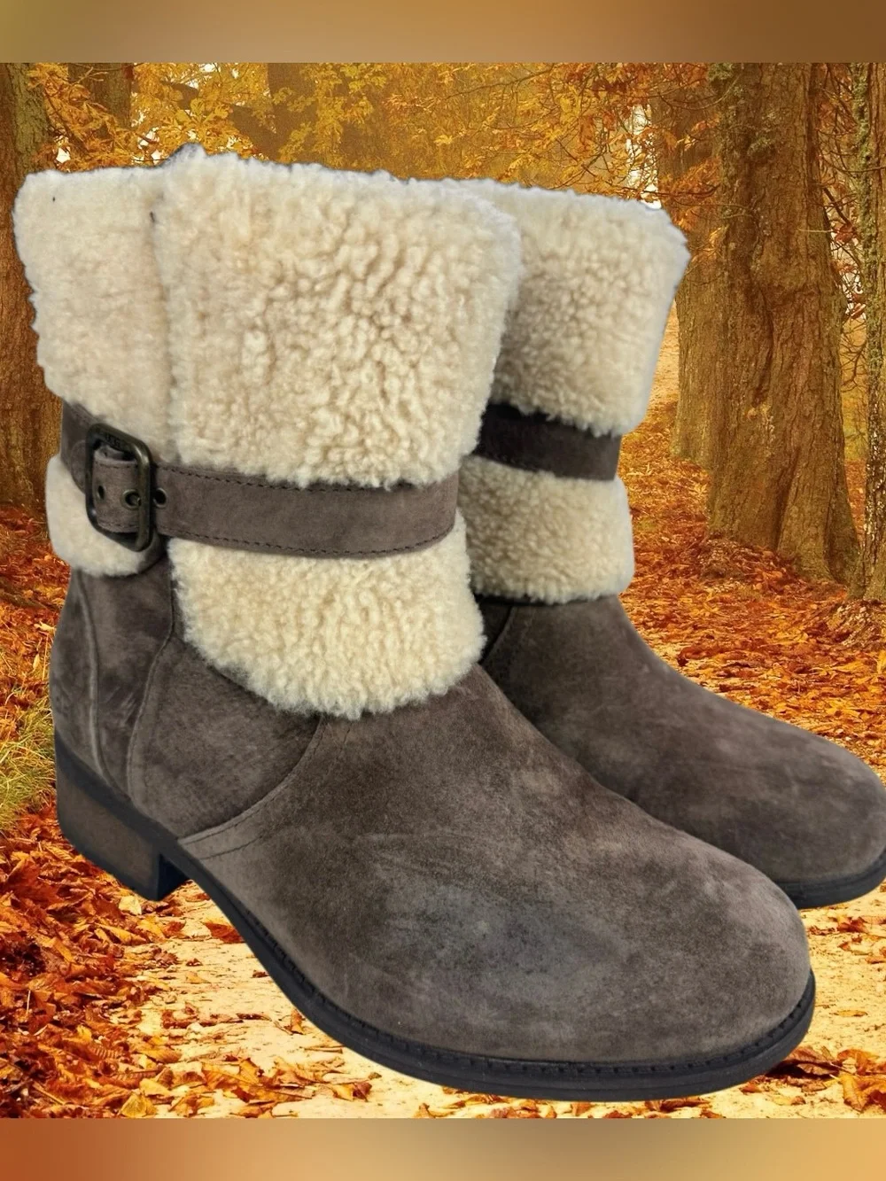 Ugg Blayre II Sheepskin & Suede Espresso Mid Calf Boots, Buckle Side Zip Sz 8.5